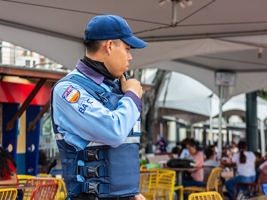 Seguridad del malecón